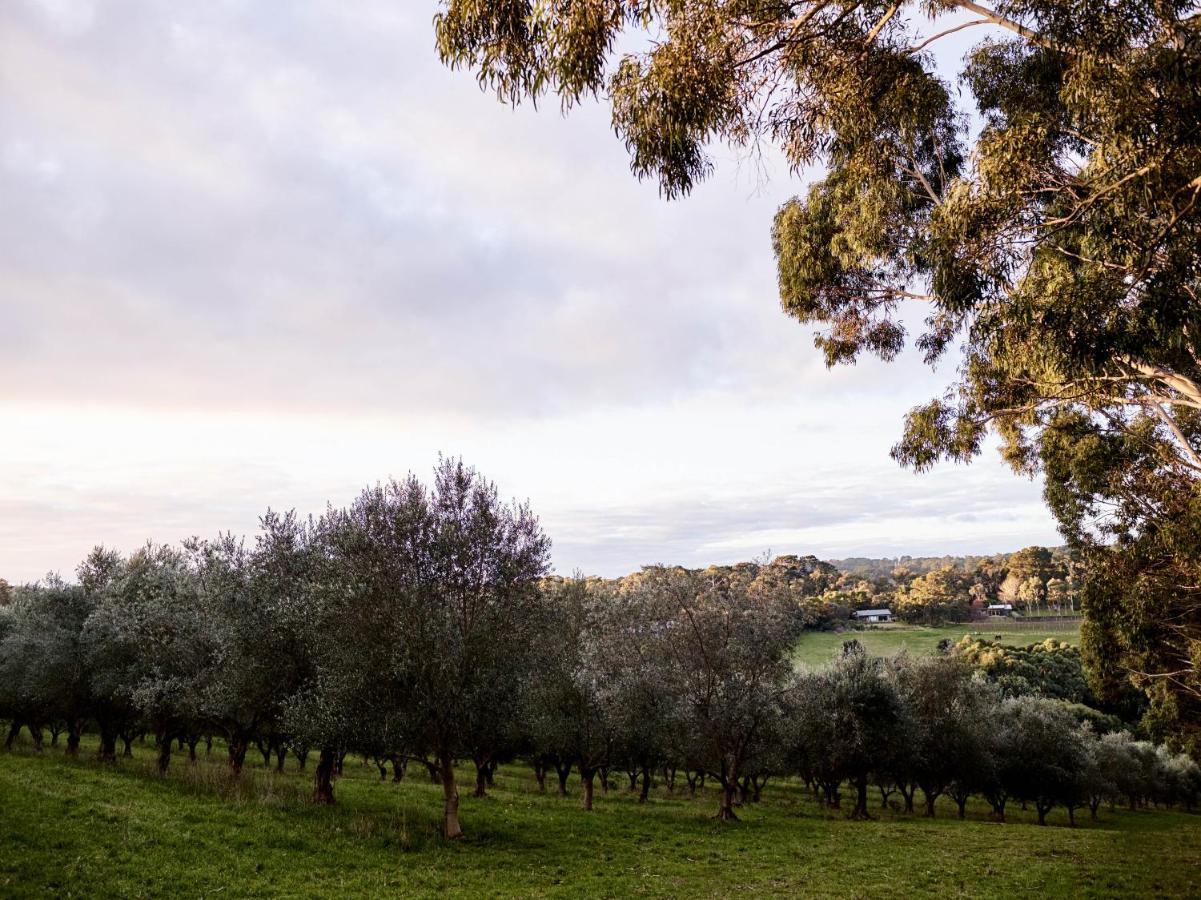 Hart'S Farm Bed and Breakfast Shoreham Εξωτερικό φωτογραφία