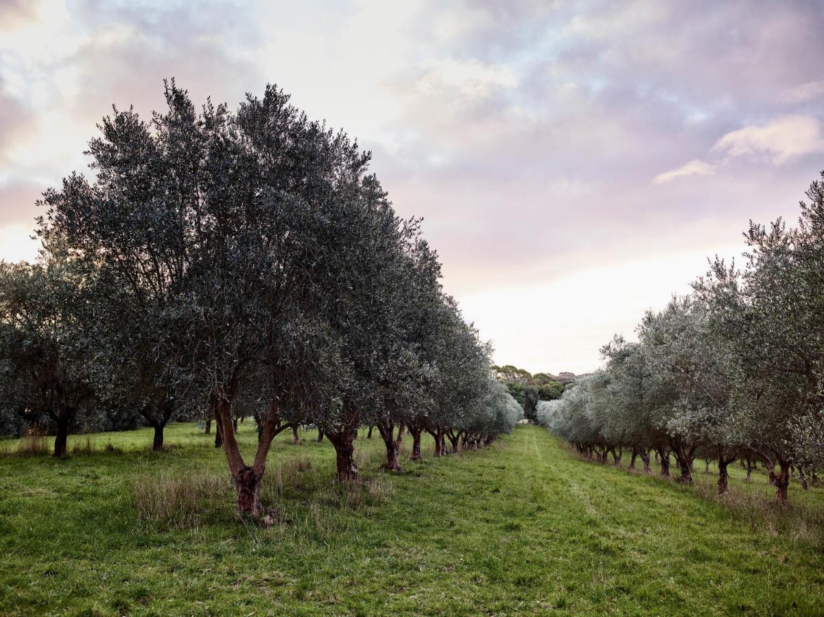 Hart'S Farm Bed and Breakfast Shoreham Εξωτερικό φωτογραφία