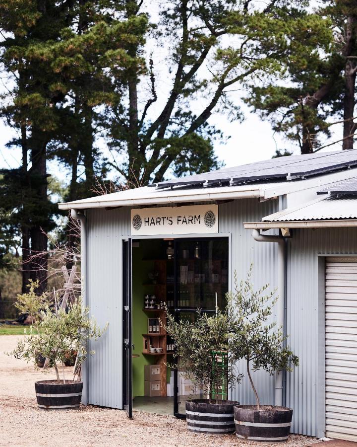 Hart'S Farm Bed and Breakfast Shoreham Εξωτερικό φωτογραφία