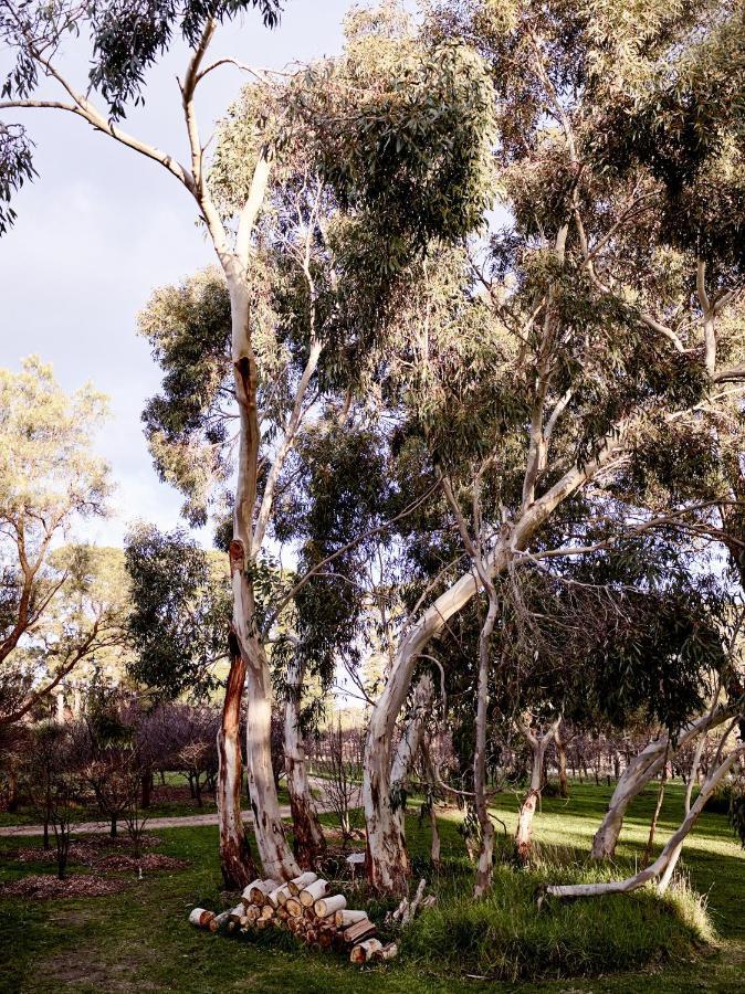 Hart'S Farm Bed and Breakfast Shoreham Εξωτερικό φωτογραφία