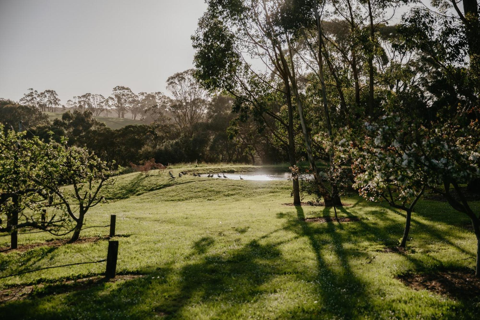 Hart'S Farm Bed and Breakfast Shoreham Εξωτερικό φωτογραφία