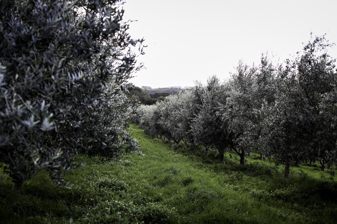 Hart'S Farm Bed and Breakfast Shoreham Εξωτερικό φωτογραφία