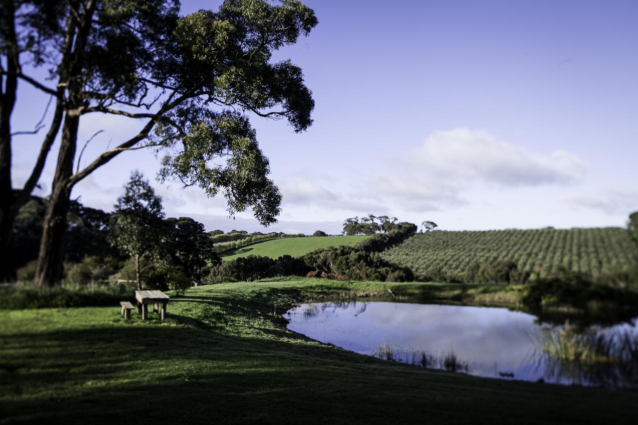 Hart'S Farm Bed and Breakfast Shoreham Εξωτερικό φωτογραφία