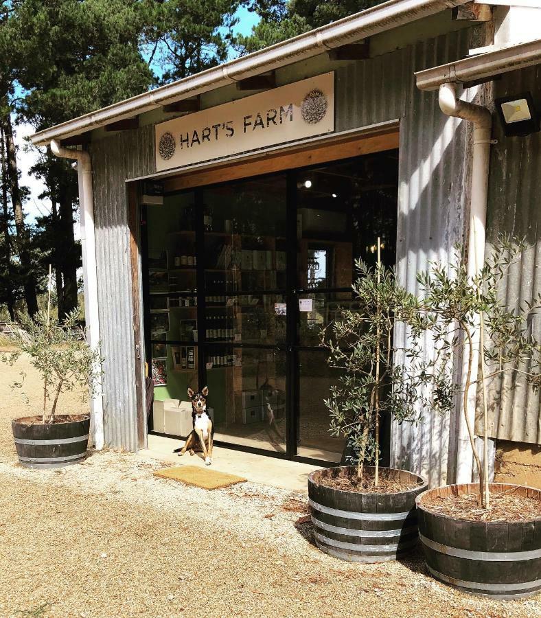 Hart'S Farm Bed and Breakfast Shoreham Εξωτερικό φωτογραφία